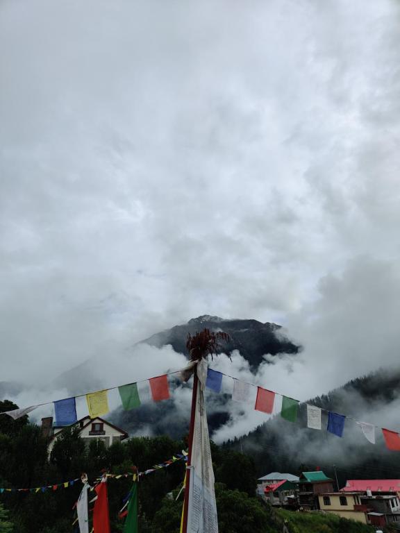 Hotel Mount Kailash photo