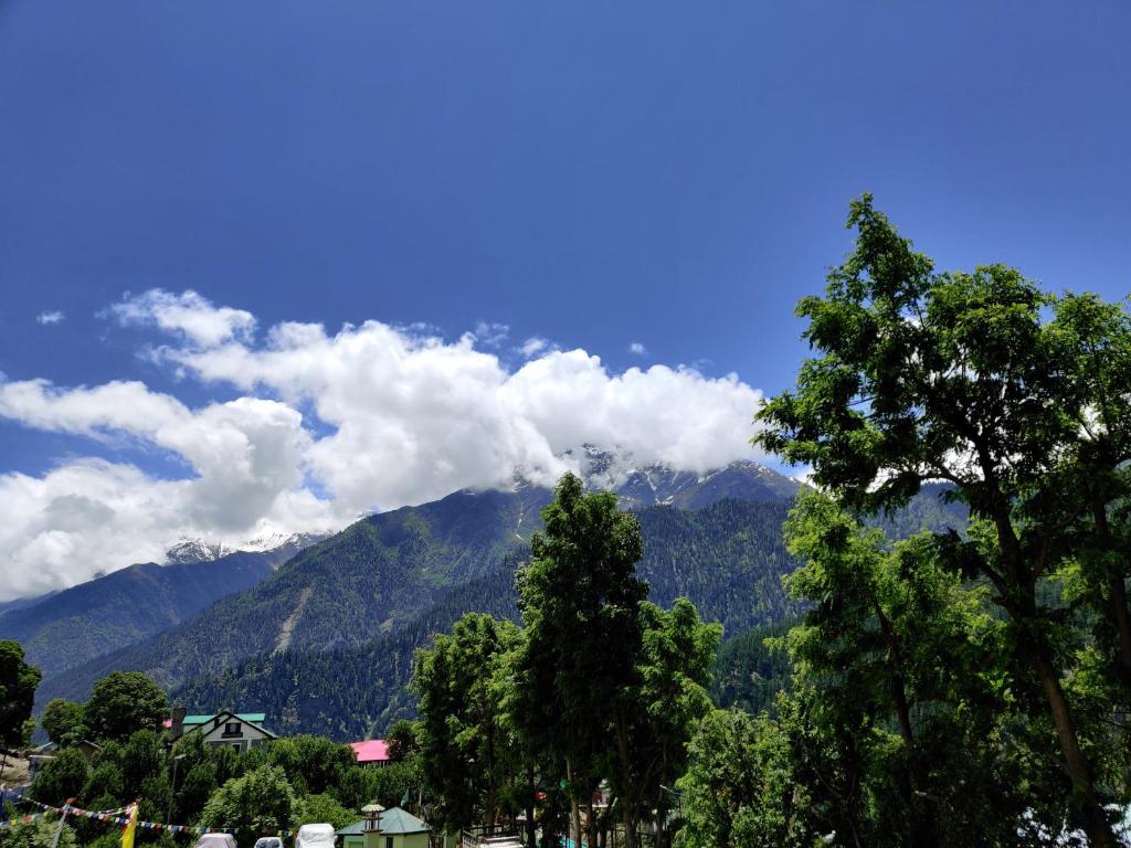 Hotel Mount Kailash photo