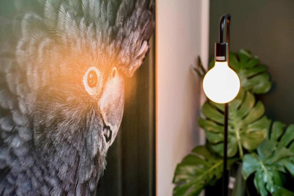 The Baylis Boutique Apartments - Stay on Baylis, Shopping precinct, FREE parking photo