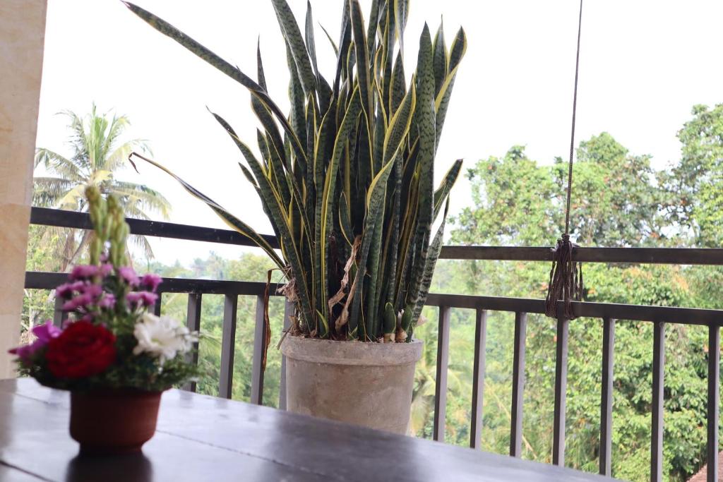 Balkon/Terrasse