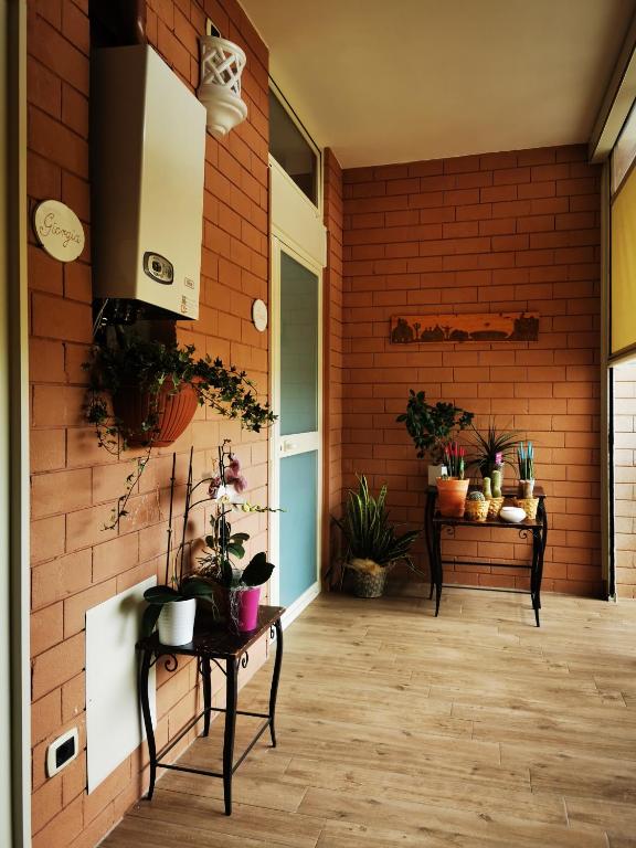 B&B Ameli photo