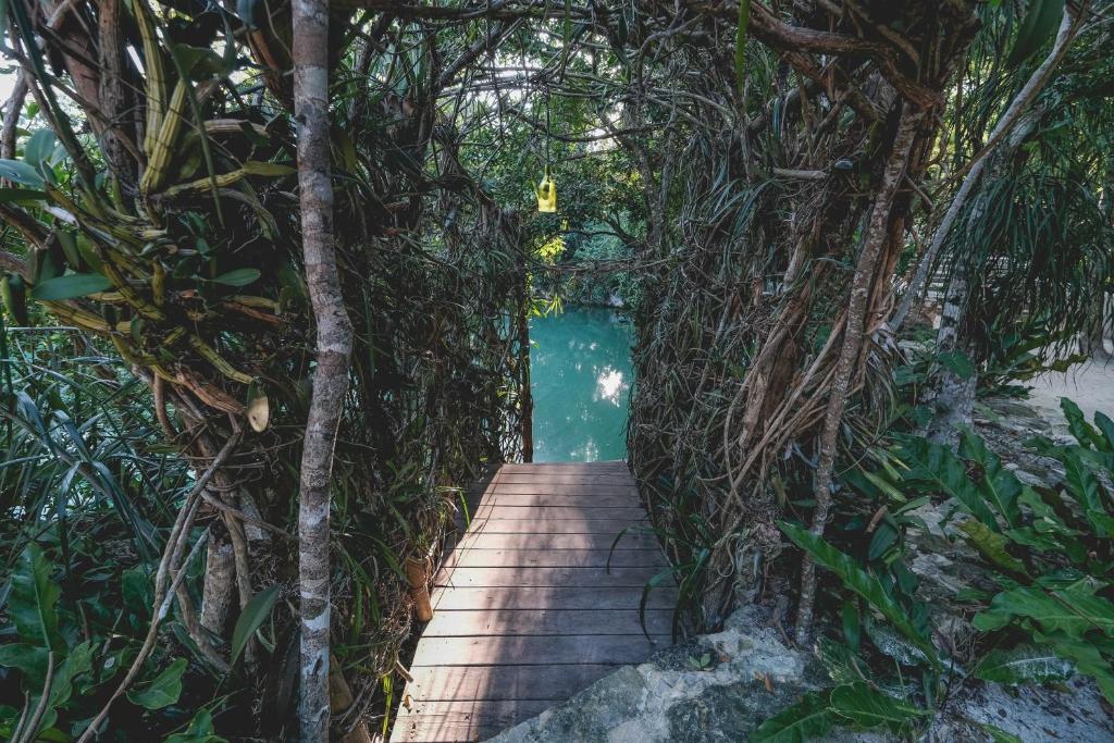 Wakax Hacienda - Cenote & Boutique Hotel - Small Luxury Hotels of the World - 5