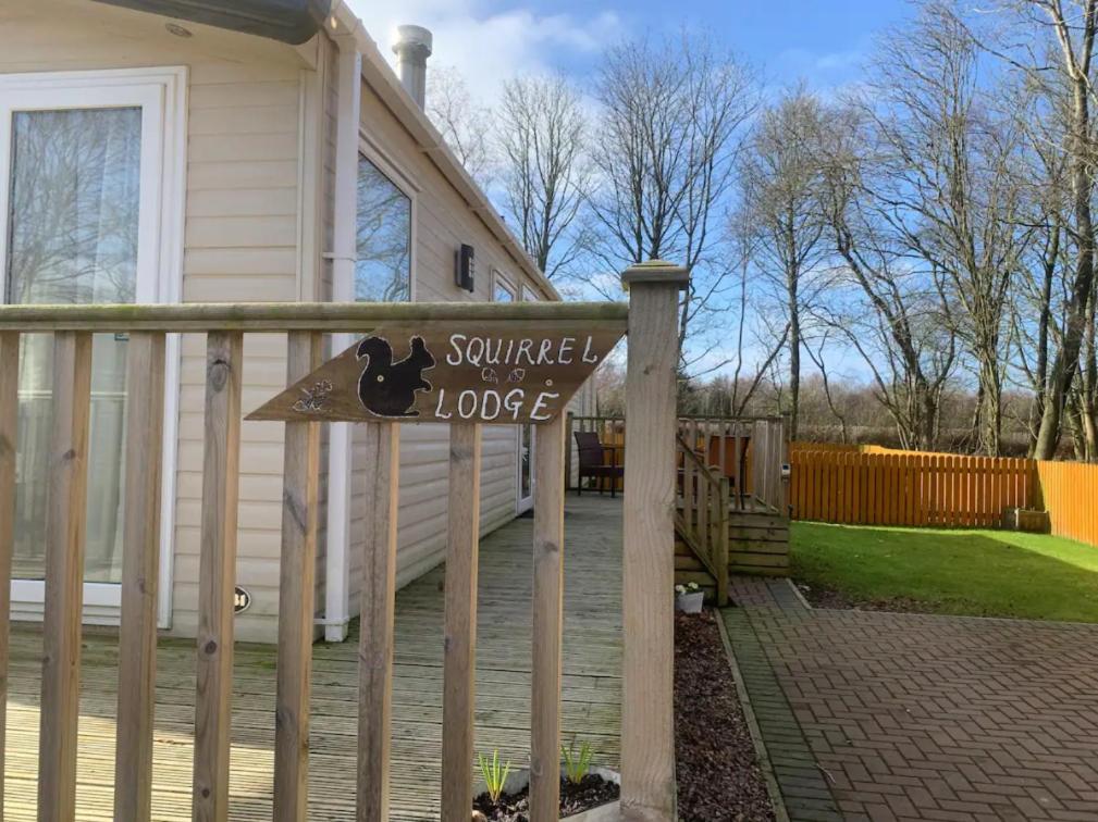 Squirrel Lodge, Longtown photo 8