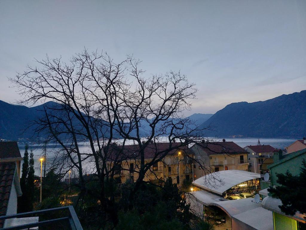 Apartman - Dobrota Sun, Kotor