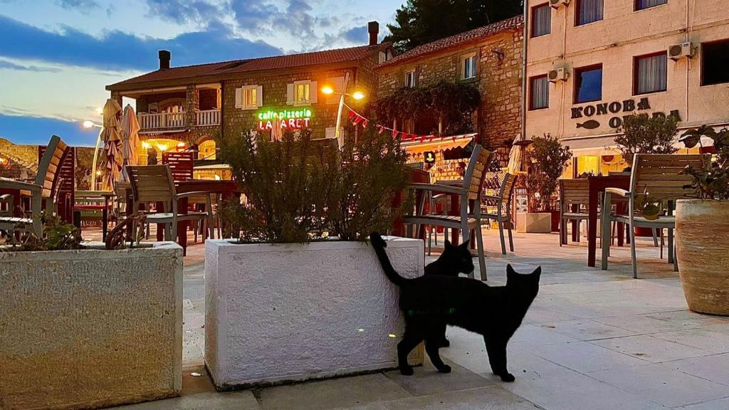 Guest House Djonovic photo