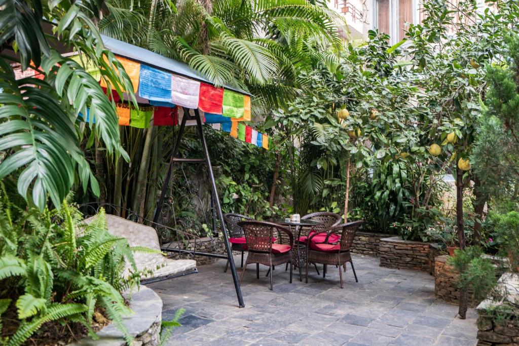 Garden
