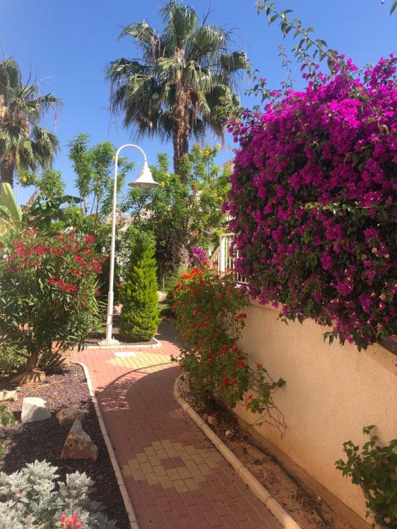 Villamartin Tosca - 5
