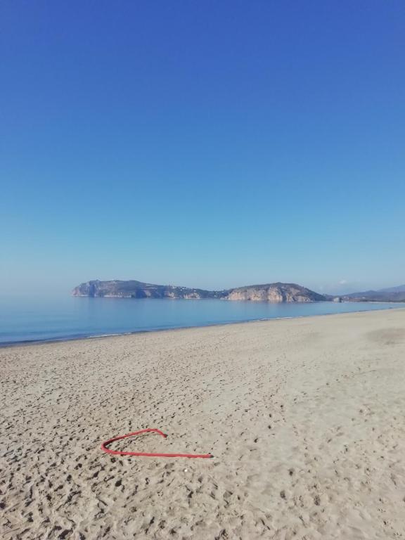 Olivia, Marina di Camerota