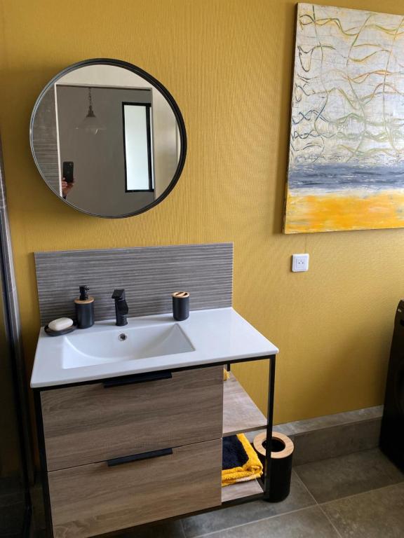 Magnifique appartement au coeur de Mulhouse - 5