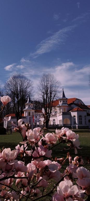 Apartman 21 Banja Koviljača - 3