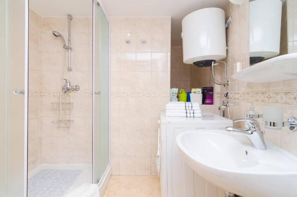 Apartment Domix photo