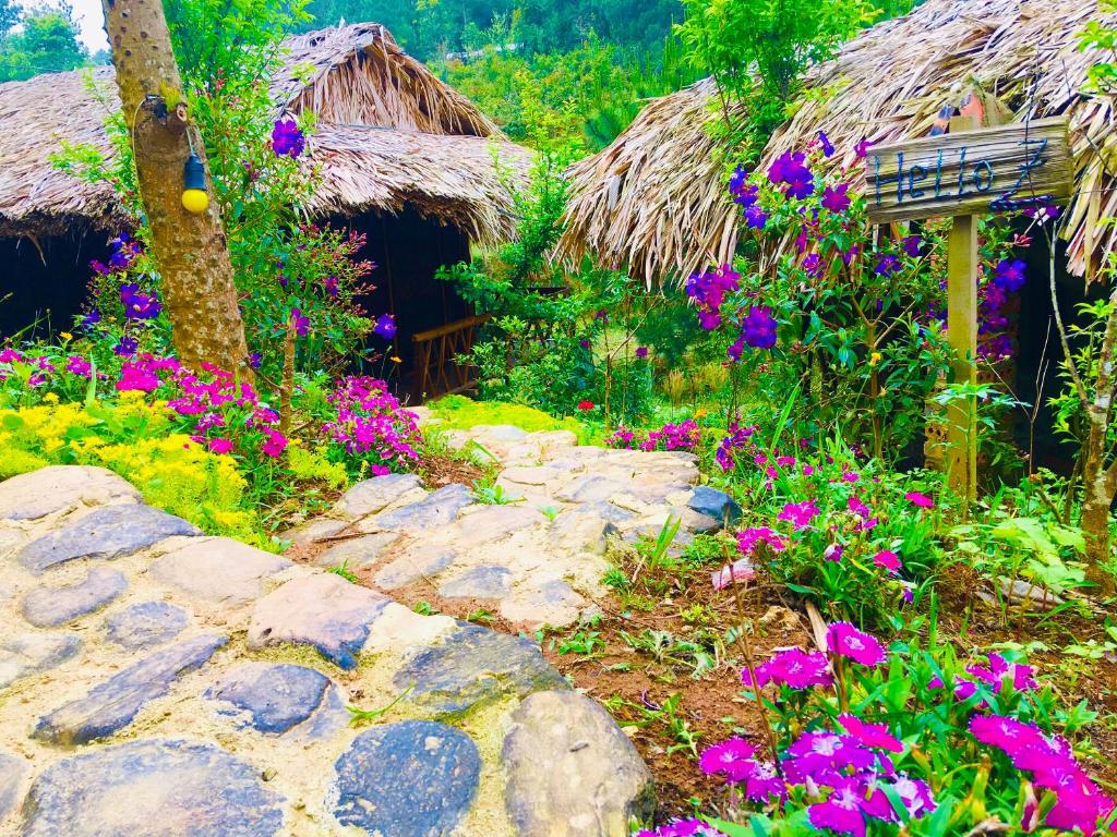 Hello Mu Cang Chai Homestay 전경