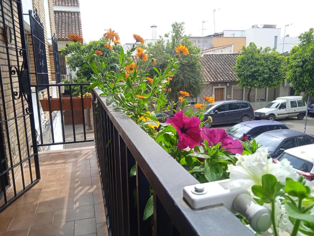 Casa Violeta, Córdoba