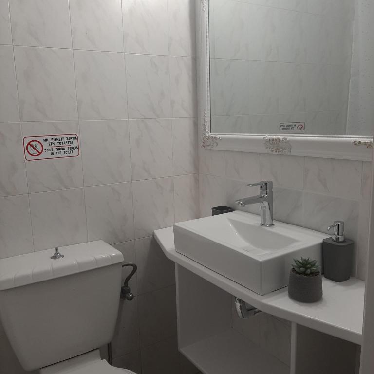 Flora Rooms & Apartments photo