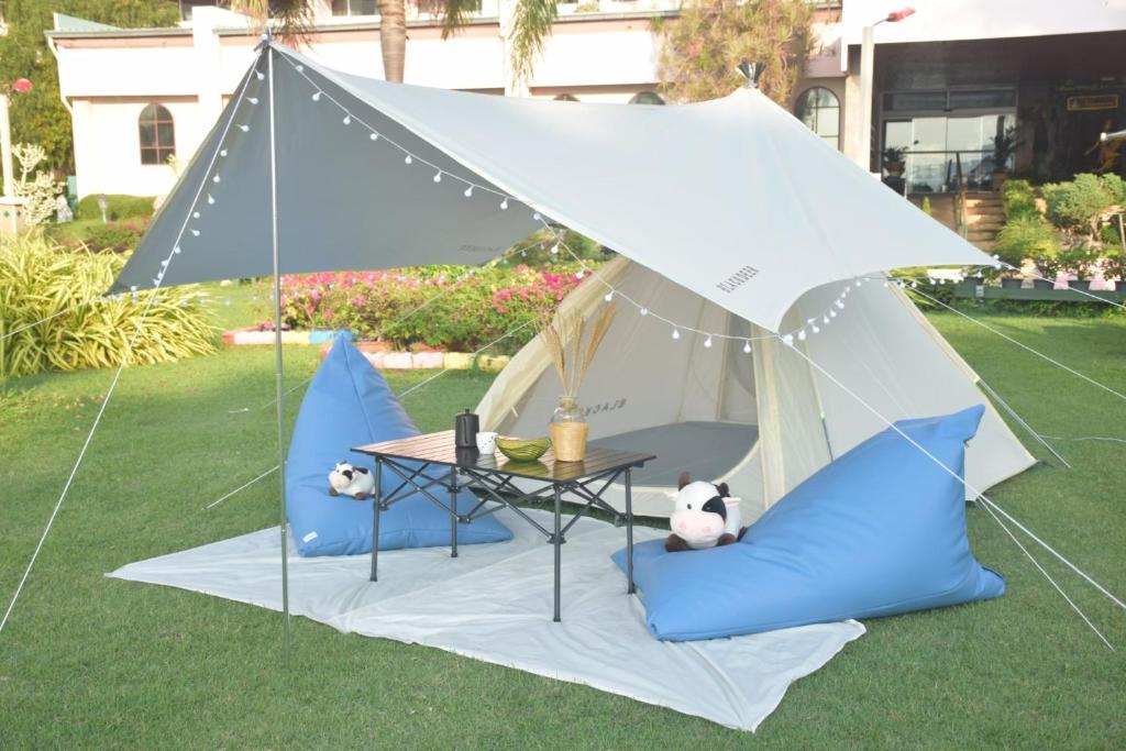 アクティビティ