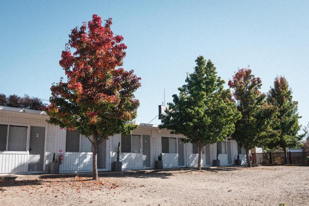 Cedar Lodge photo