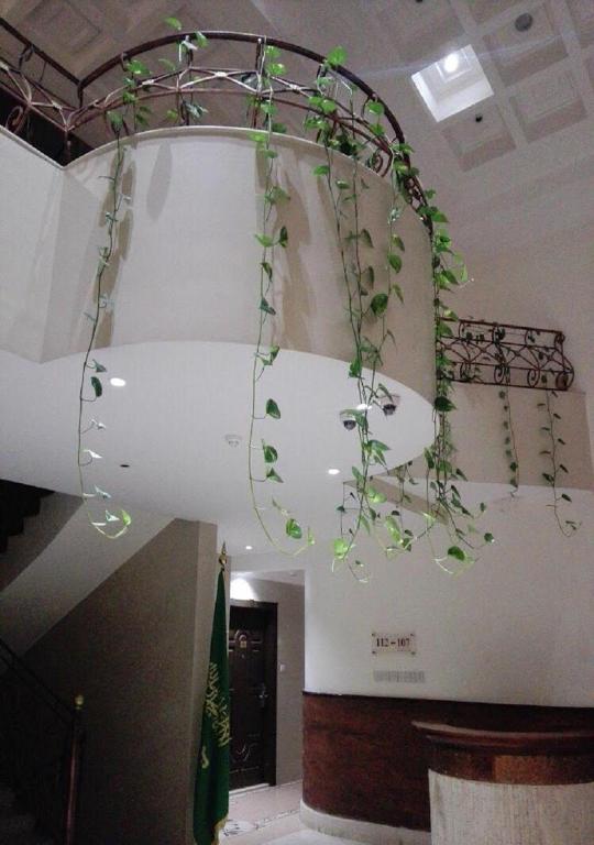 جاردنيا ان جده photo