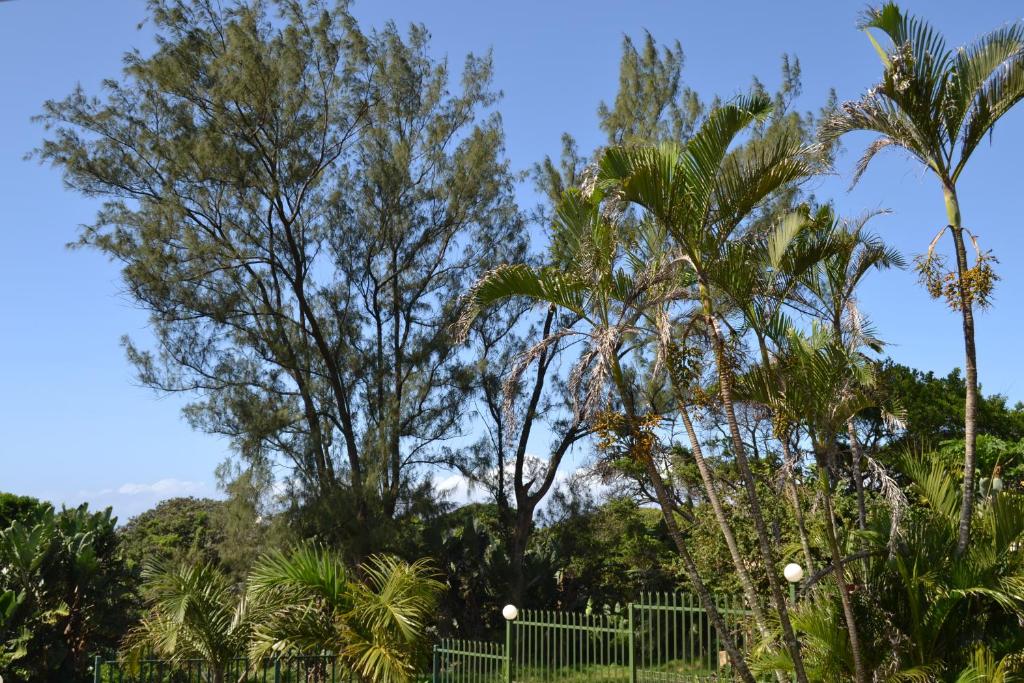 Palmtree place - Stylish self catering unit photo