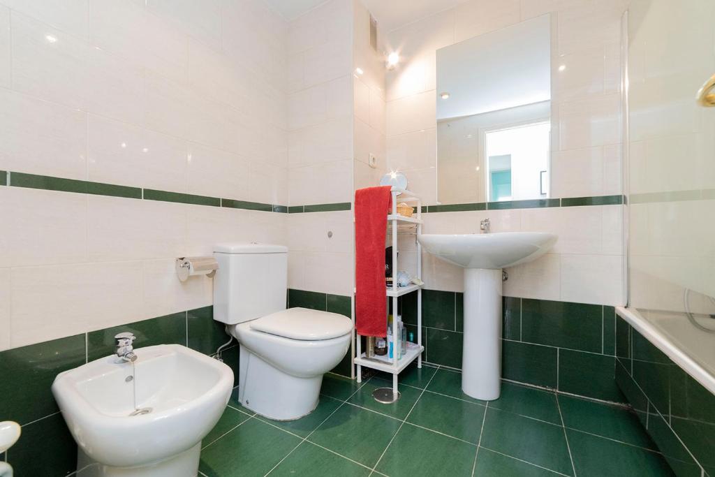 APARTAMENTO MADRID rio - 5