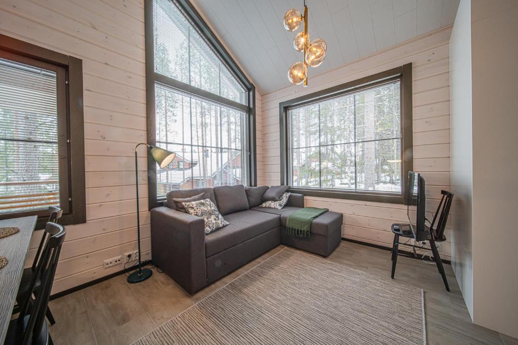 Levillas Sointuilevi 6A41, Levi