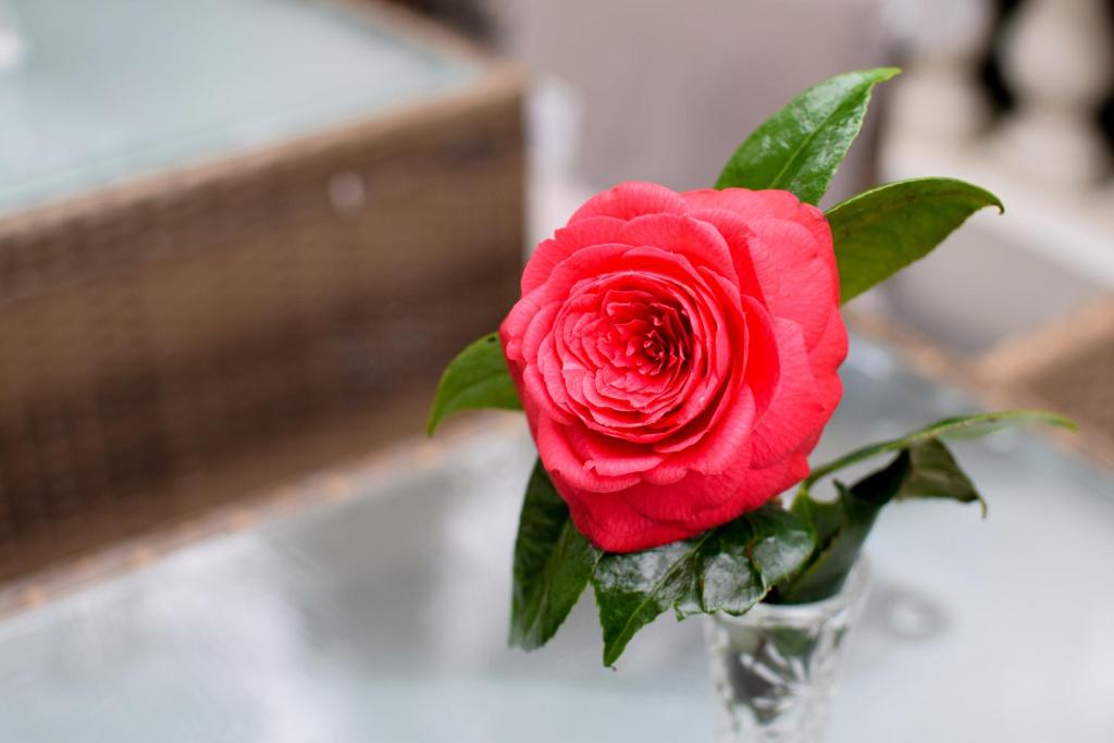 A szálláshely kívülről