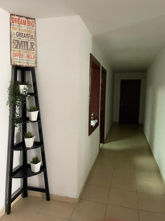 DXB Backpackers photo