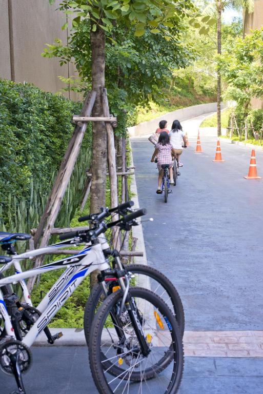 Sports and activities