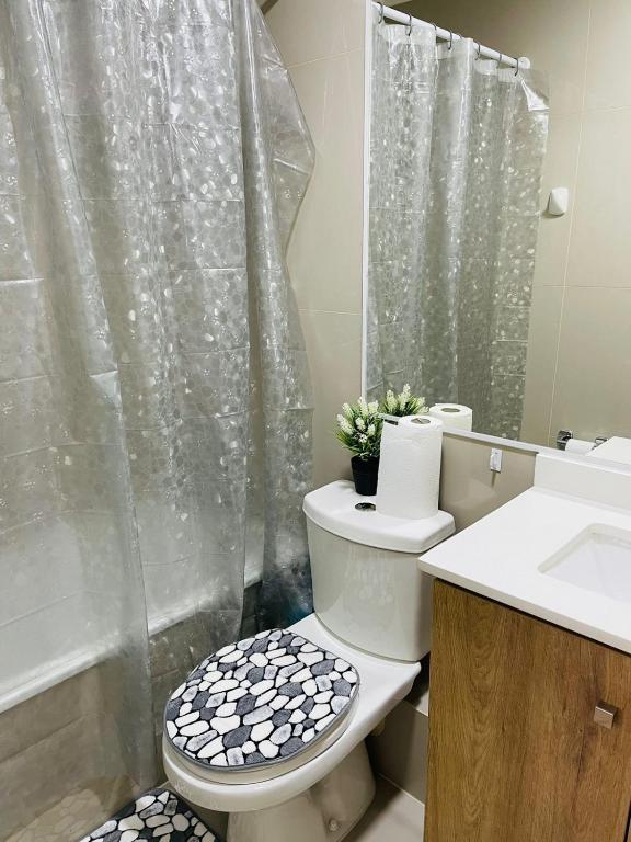 Hermoso Departamento ubicado a 1 cuadra del lago Villarrica - 2