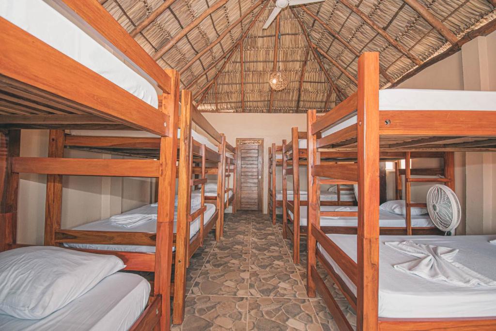The Barrel Hostel photo