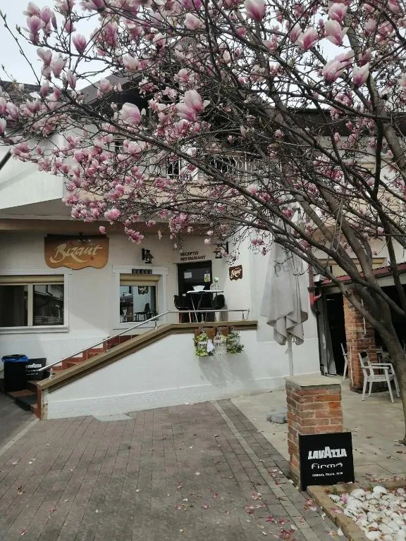 Bizant Boutique, hotel v destinaci Bacău