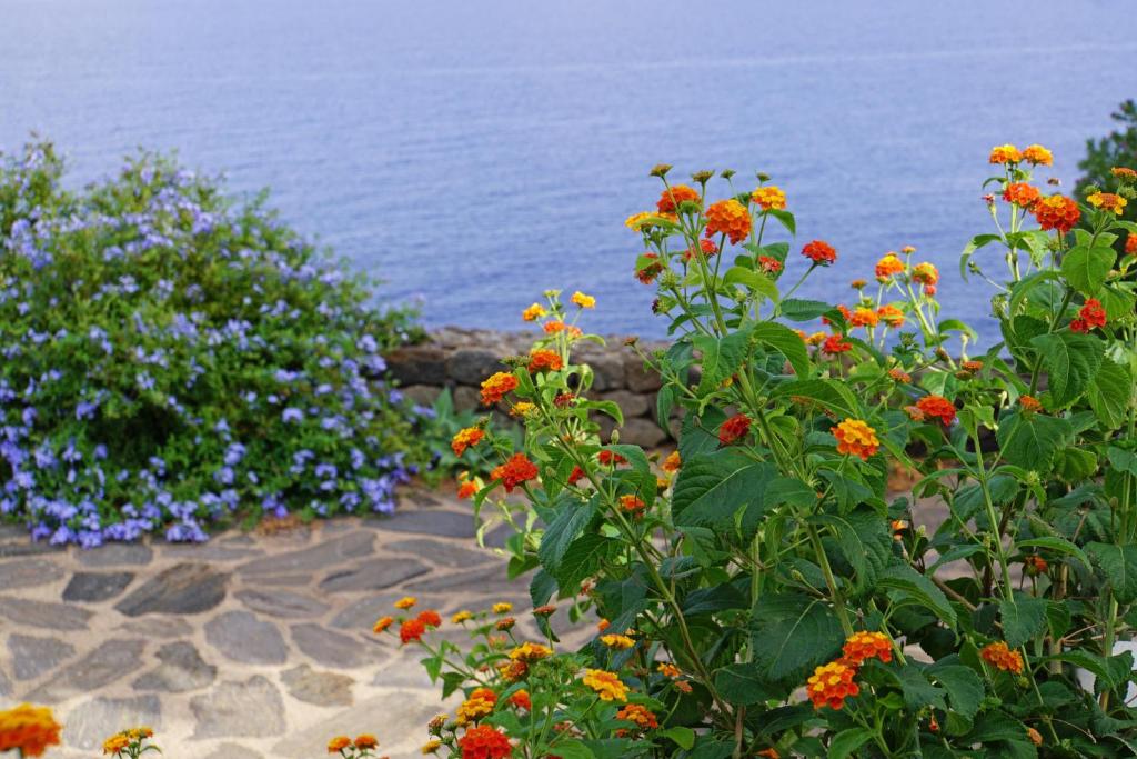 Vento del sud - 3