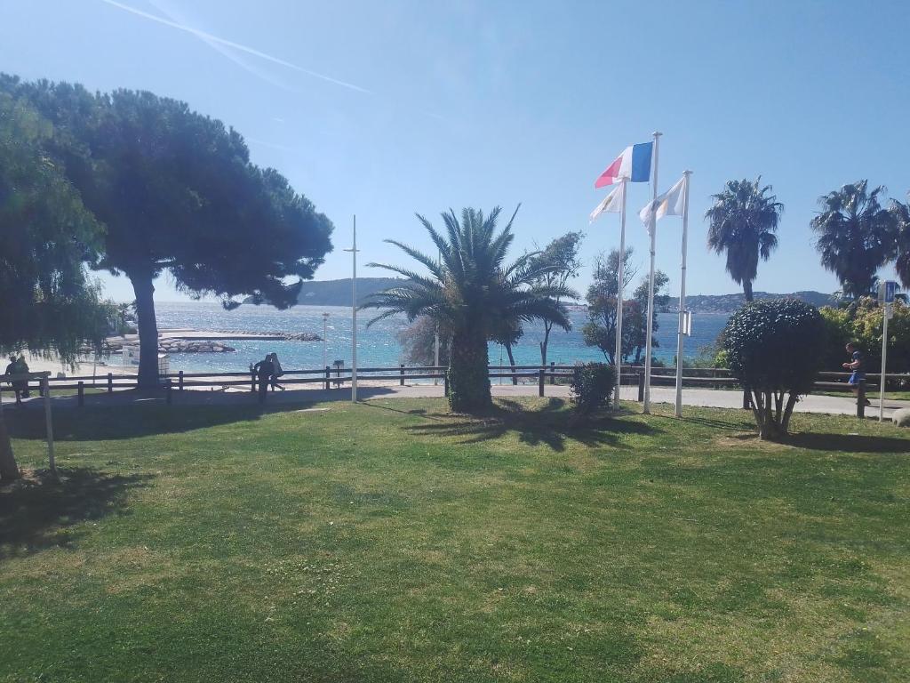 studio terrasse - 2