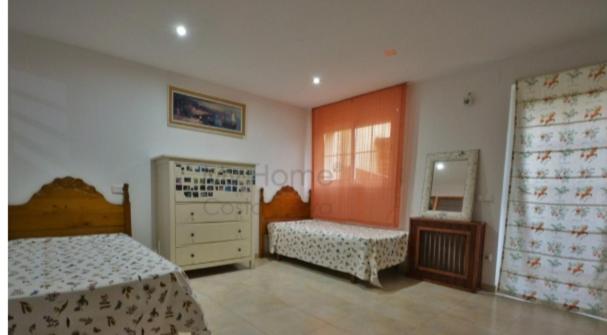 Palmeral - 5