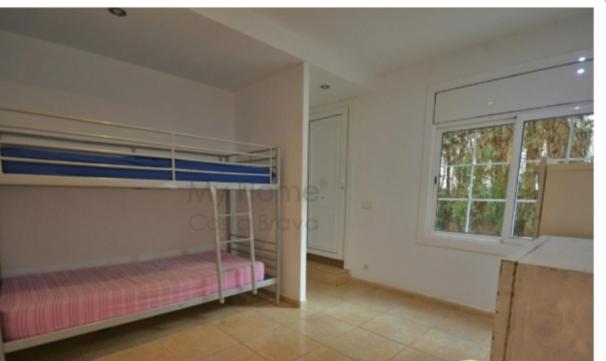 Palmeral - 4