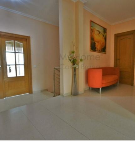 Palmeral - 2