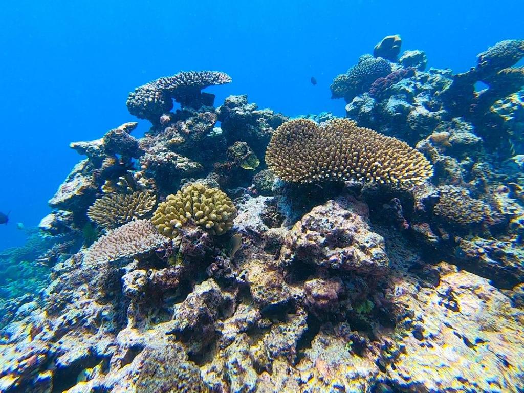 สภาพแวดล้อมโดยรอบ