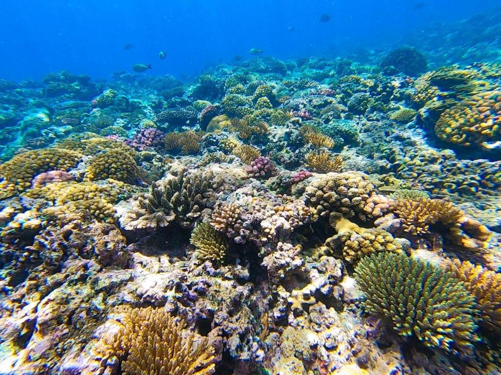 สภาพแวดล้อมโดยรอบ