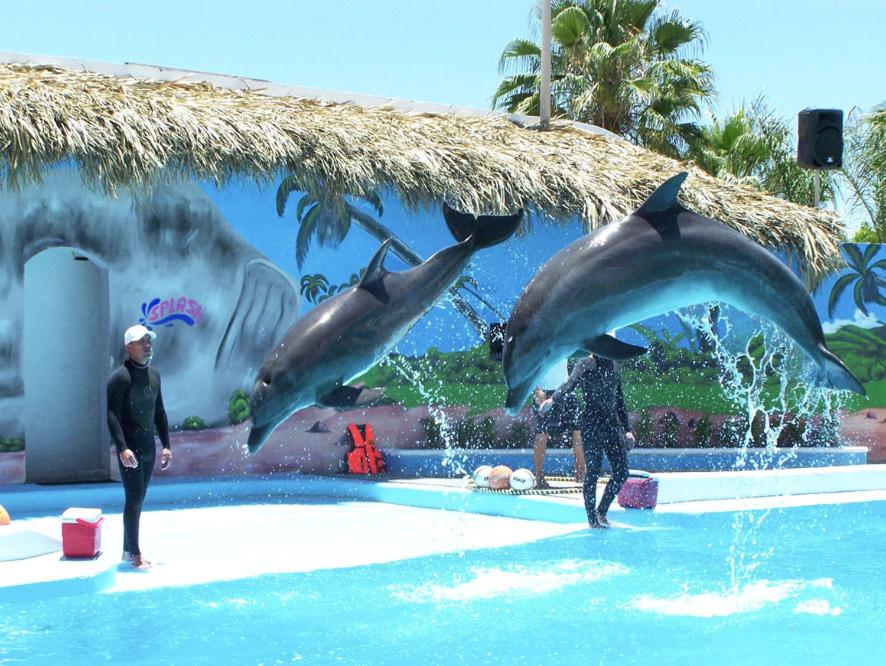 Hotel Splash Inn photo