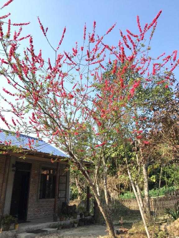 Quo Vadis Farm photo