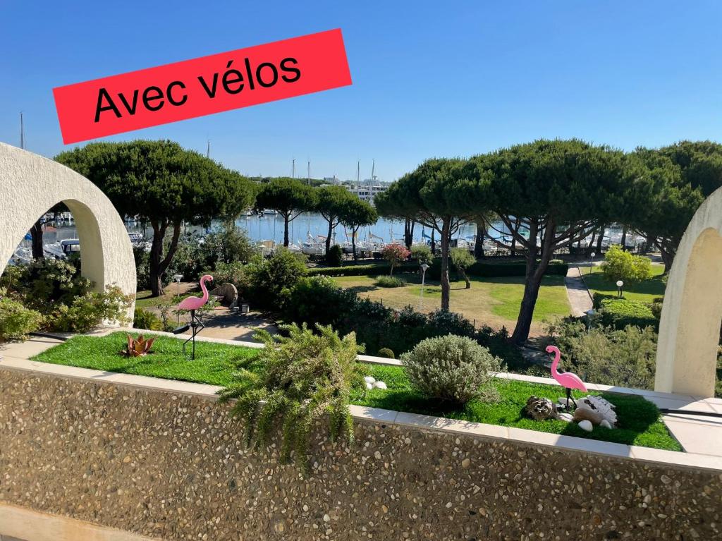 Studio vue port, belle terrasse, piscine - 2
