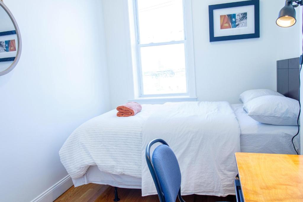 4bd 15bth Sunny Apt In Roxbury photo
