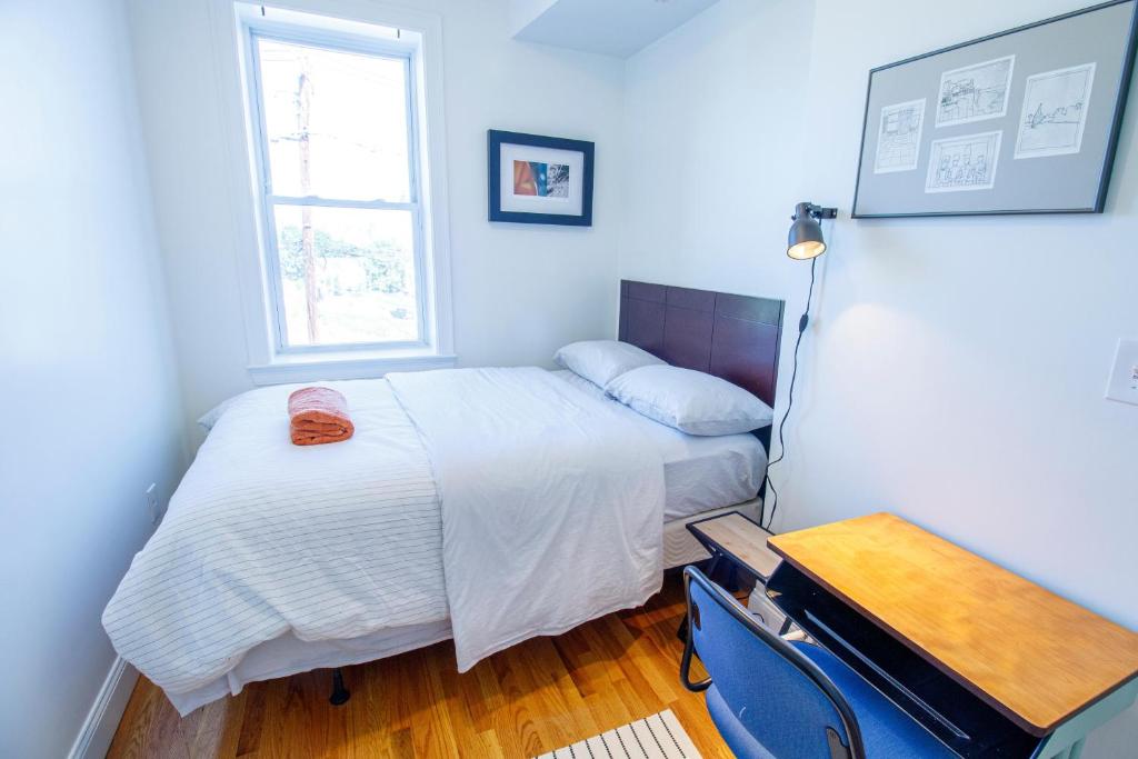 4bd 15bth Sunny Apt In Roxbury photo