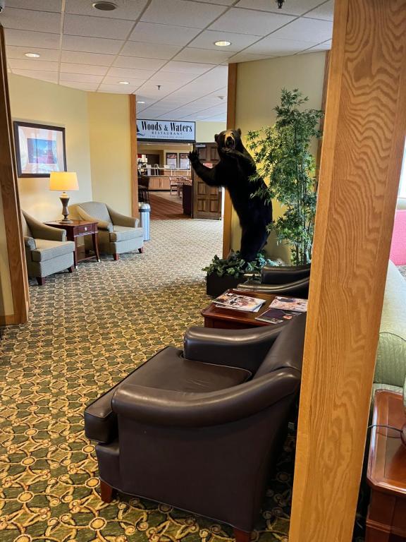 Days Inn & Suites by Wyndham Sutton Flatwoods photo