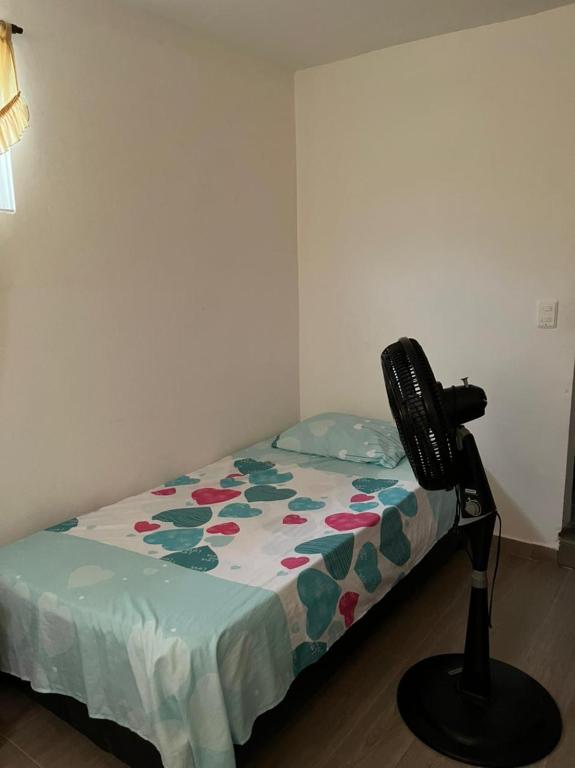 Casa Vecchio photo
