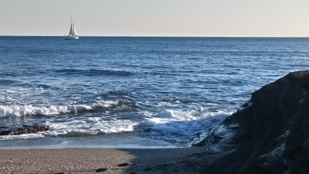 Surrounding environment