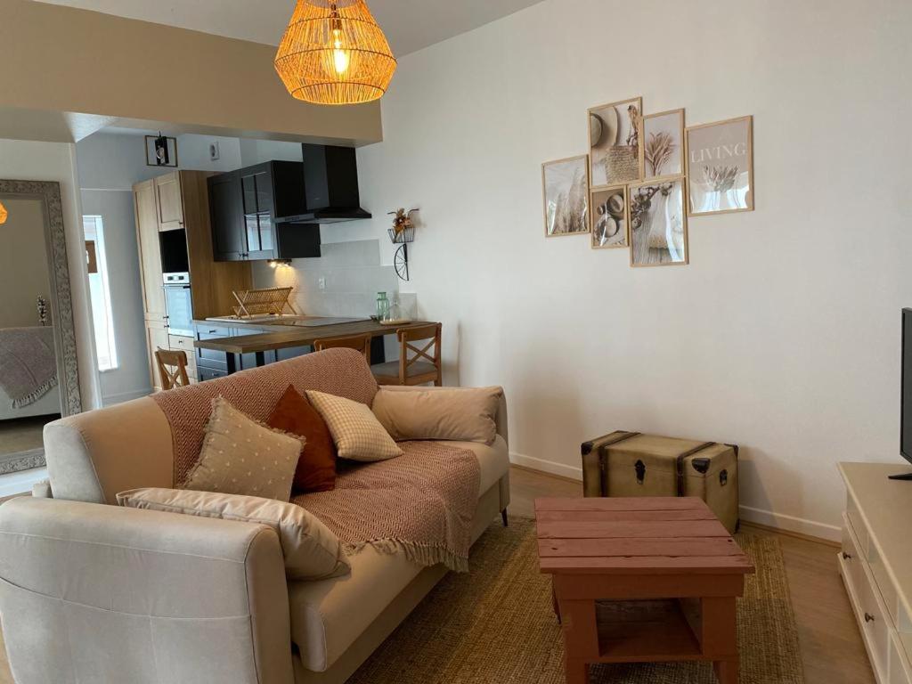 Appartement cosy en centre ville avec SPA et jardin - 3