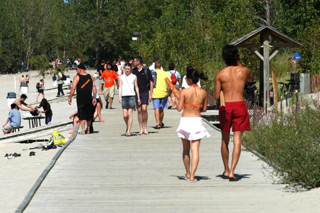 Saga Resort photo