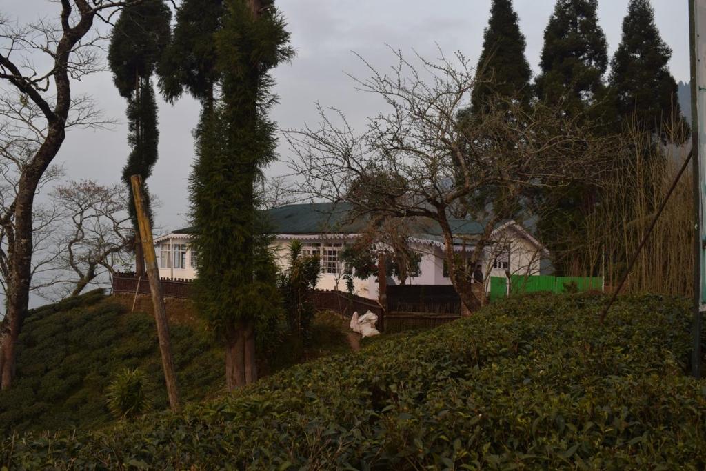 MiM HERITAGE HOMESTAY photo