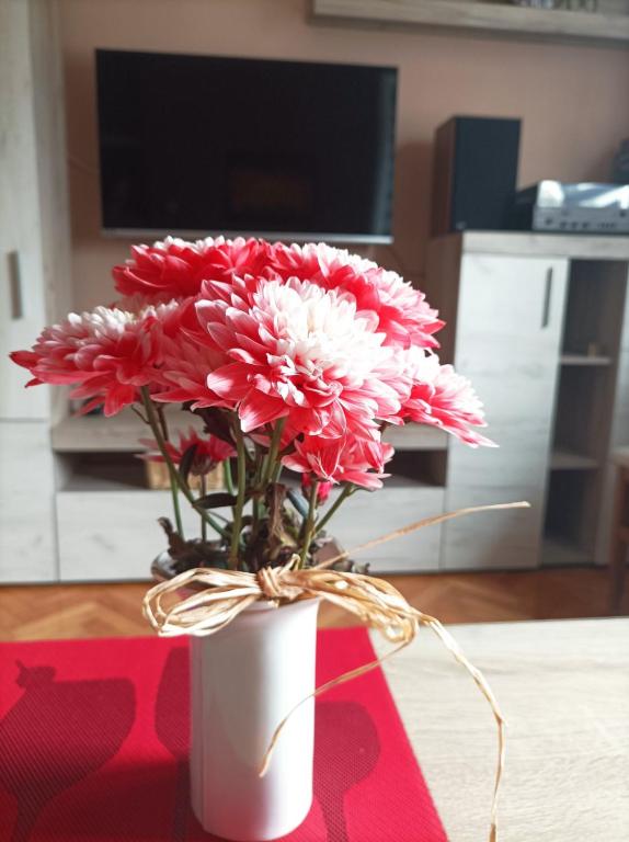 IVA centar photo