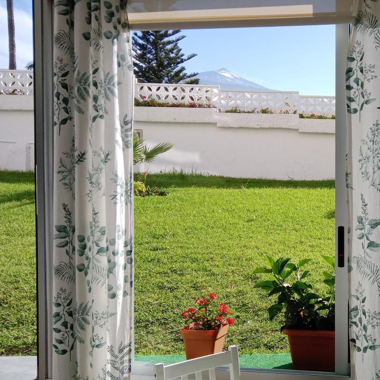 Luminoso y tranquilo estudio zona Botánico, Puerto de la Cruz